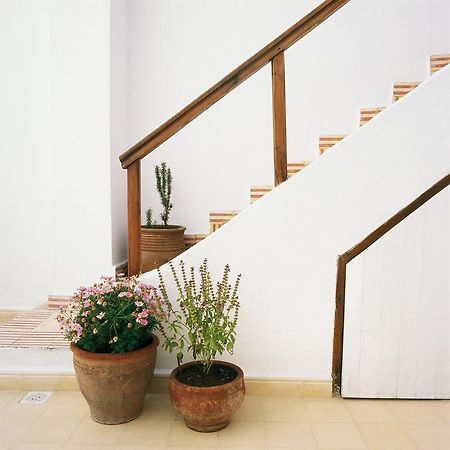 Dar Lazuli Bed & Breakfast เอสเซาอิรา ภายนอก รูปภาพ